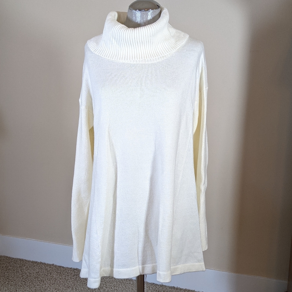 Anthropologie Long Turtleneck Tunic